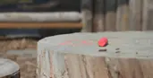 An outdoor play area and a piece of sidewalk chalk